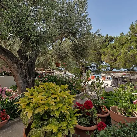 아파트 Central Beach Apartments